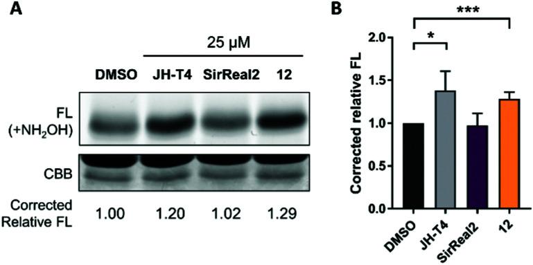 https://cdn.ncbi.nlm.nih.gov/pmc/blobs/829f/8985159/23f674a1920a/d1cb00244a-f8.jpg