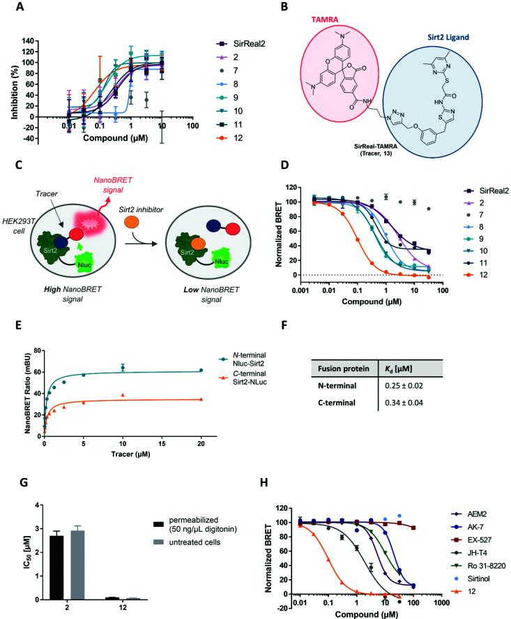 https://cdn.ncbi.nlm.nih.gov/pmc/blobs/829f/8985159/6b906bf01f94/d1cb00244a-f9.jpg