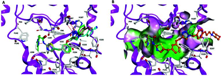 https://cdn.ncbi.nlm.nih.gov/pmc/blobs/829f/8985159/a761e0618fc1/d1cb00244a-f3.jpg