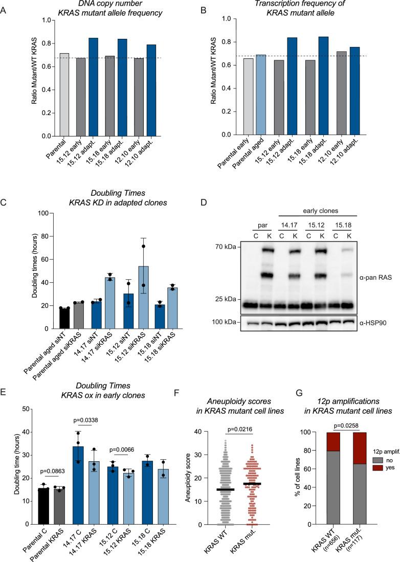 https://cdn.ncbi.nlm.nih.gov/pmc/blobs/82a1/11549362/2871bf76bf26/44319_2024_252_Fig6_HTML.jpg