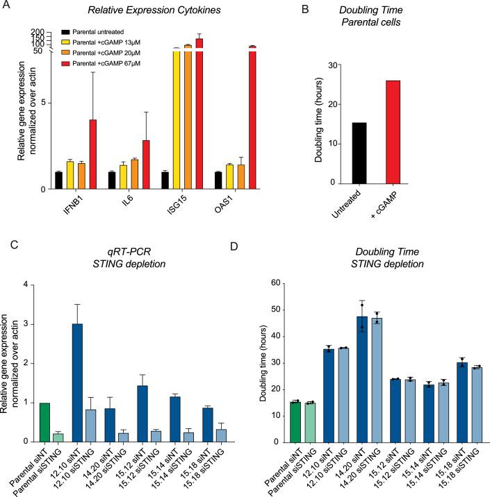 https://cdn.ncbi.nlm.nih.gov/pmc/blobs/82a1/11549362/5cee2c13ca9f/44319_2024_252_Fig5_HTML.jpg