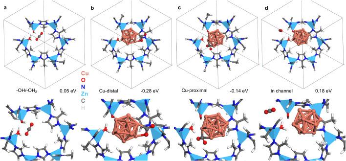 https://cdn.ncbi.nlm.nih.gov/pmc/blobs/82a3/10918174/0825b9a2908f/41467_2024_46388_Fig7_HTML.jpg