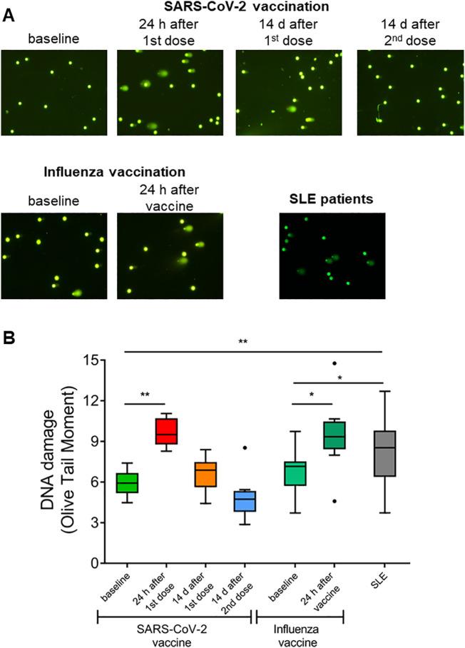 https://cdn.ncbi.nlm.nih.gov/pmc/blobs/82a3/8171000/e6b12c127f76/gr3_lrg.jpg