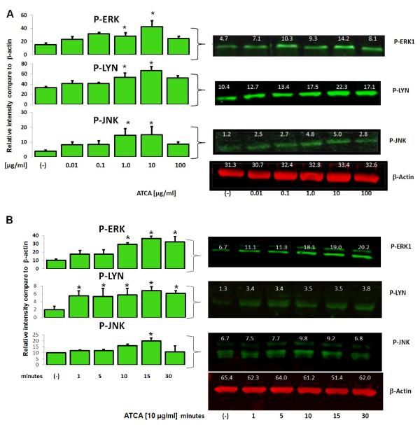 https://cdn.ncbi.nlm.nih.gov/pmc/blobs/82a5/3562260/92c4715a8177/1532-429X-15-7-4.jpg