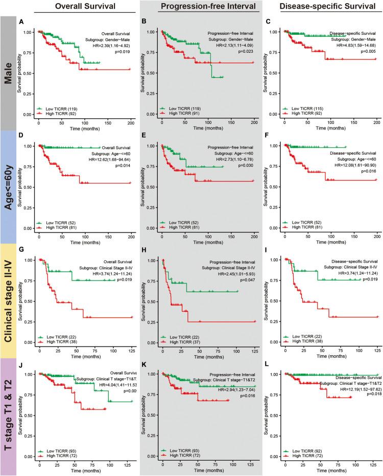 https://cdn.ncbi.nlm.nih.gov/pmc/blobs/82ab/7831611/9421cd78c6a8/fgene-11-605378-g008.jpg