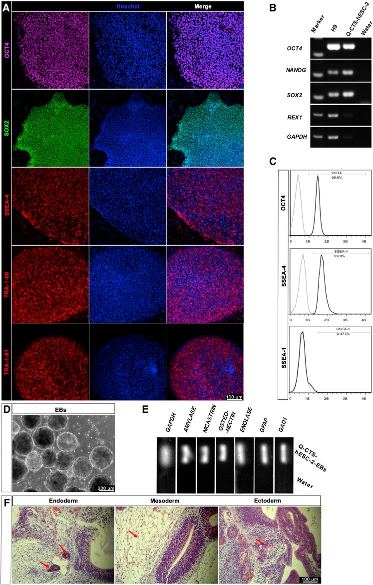 https://cdn.ncbi.nlm.nih.gov/pmc/blobs/82ad/5511037/6a2f0e4c3741/gr3.jpg