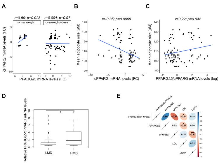 https://cdn.ncbi.nlm.nih.gov/pmc/blobs/82ae/7290899/1a2628a9e218/cells-09-01284-g001.jpg