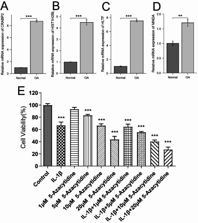 https://cdn.ncbi.nlm.nih.gov/pmc/blobs/82af/11882932/d8498ab0ca51/41598_2025_89072_Fig7_HTML.jpg