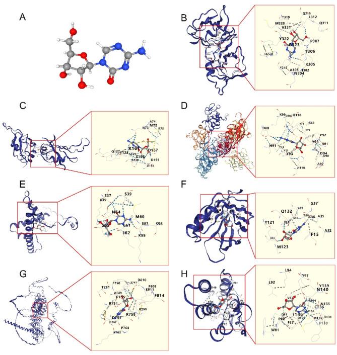 https://cdn.ncbi.nlm.nih.gov/pmc/blobs/82af/11882932/ecb06251ce12/41598_2025_89072_Fig5_HTML.jpg