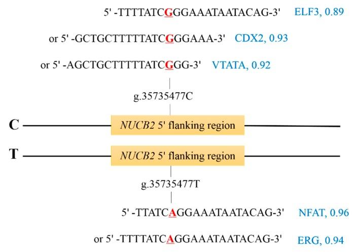 https://cdn.ncbi.nlm.nih.gov/pmc/blobs/82af/6627143/0f198d02e43d/genes-10-00449-g003.jpg