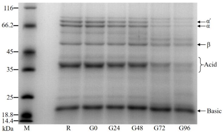 https://cdn.ncbi.nlm.nih.gov/pmc/blobs/82b0/10855124/dd47a68f003f/foods-13-00488-g002.jpg