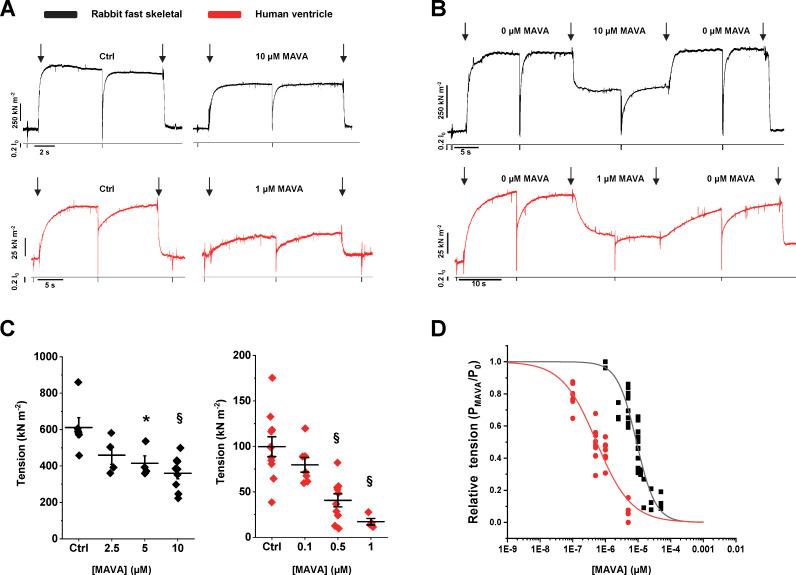 https://cdn.ncbi.nlm.nih.gov/pmc/blobs/82b2/8077167/88a8c7624f9d/JGP_202012789_Fig1.jpg