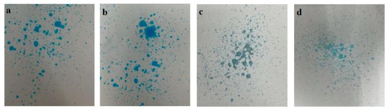 https://cdn.ncbi.nlm.nih.gov/pmc/blobs/82b5/8397977/1b1f37cb3870/polymers-13-02770-g002.jpg