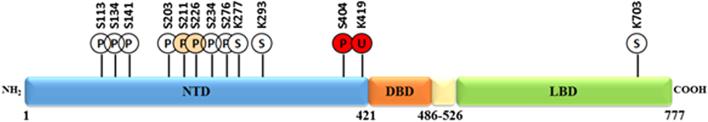 https://cdn.ncbi.nlm.nih.gov/pmc/blobs/82b7/6280593/ea7b19e96395/EC-18-0421fig2.jpg