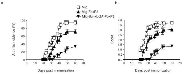 https://cdn.ncbi.nlm.nih.gov/pmc/blobs/82b9/2888221/053e29bc3a41/ar2983-5.jpg