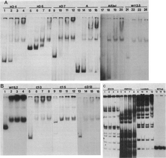 https://cdn.ncbi.nlm.nih.gov/pmc/blobs/82ba/207177/3d9d92e53aee/jbacter00091-0236-a.jpg