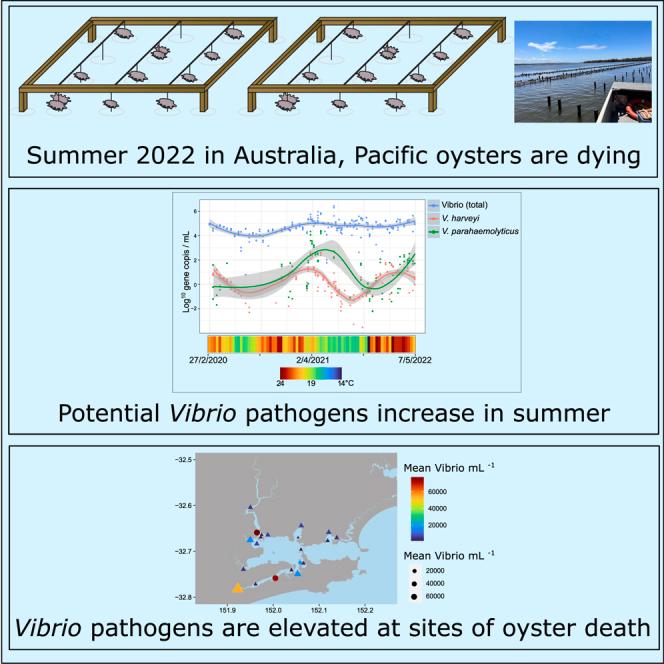 https://cdn.ncbi.nlm.nih.gov/pmc/blobs/82bb/11787541/90a582215ff4/fx1.jpg
