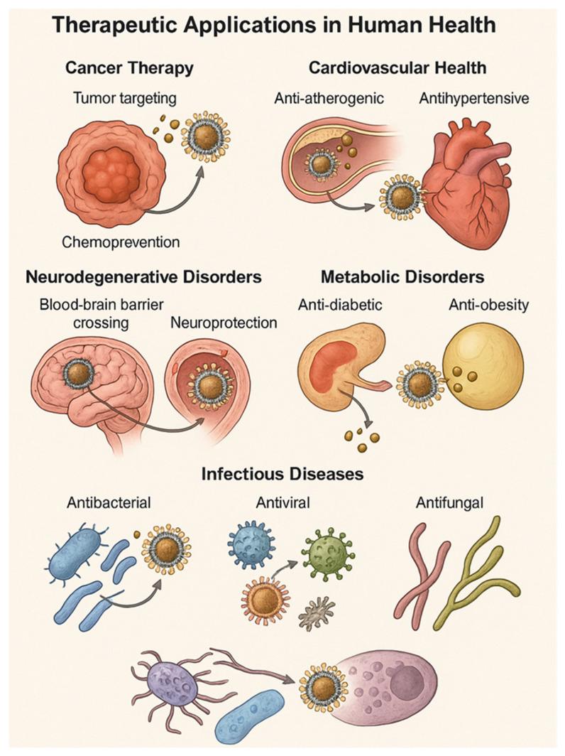 https://cdn.ncbi.nlm.nih.gov/pmc/blobs/82bb/12348851/aaf48fb0f3e7/molecules-30-03177-g005.jpg