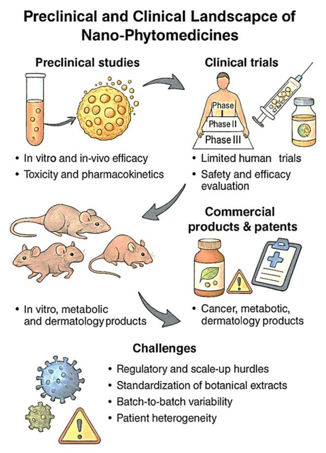 https://cdn.ncbi.nlm.nih.gov/pmc/blobs/82bb/12348851/e231c3ab99e3/molecules-30-03177-g007.jpg