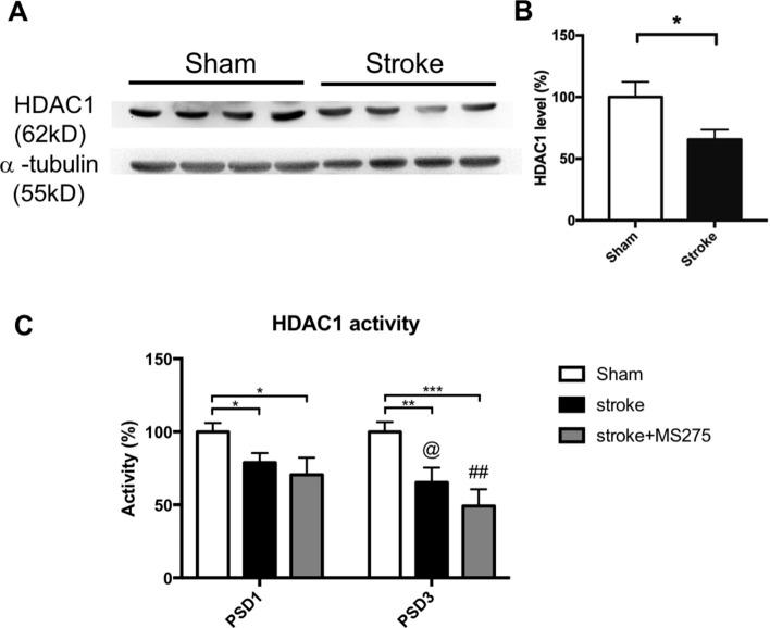 https://cdn.ncbi.nlm.nih.gov/pmc/blobs/82bc/8357973/c576127074a6/41598_2021_95837_Fig1_HTML.jpg