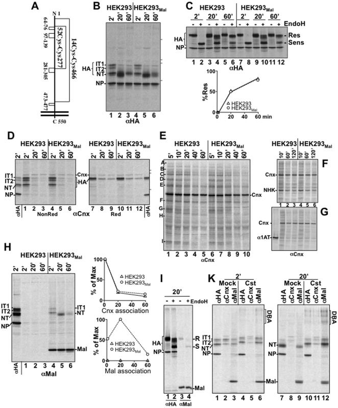 https://cdn.ncbi.nlm.nih.gov/pmc/blobs/82be/3027649/90ffd0710f79/pone.0016304.g002.jpg