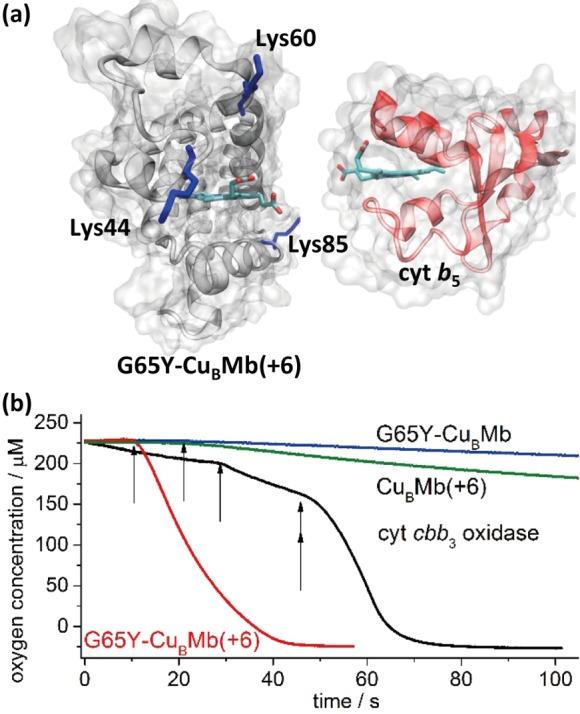 https://cdn.ncbi.nlm.nih.gov/pmc/blobs/82be/4676421/763462c2feb3/ja-2015-07119e_0001.jpg