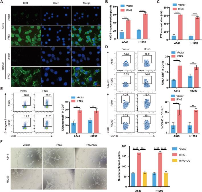 https://cdn.ncbi.nlm.nih.gov/pmc/blobs/82c0/11822994/491a9269af1f/CAM4-14-e70678-g004.jpg