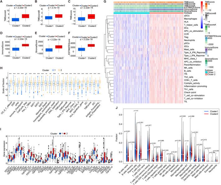 https://cdn.ncbi.nlm.nih.gov/pmc/blobs/82c0/11822994/b385f9da263d/CAM4-14-e70678-g006.jpg