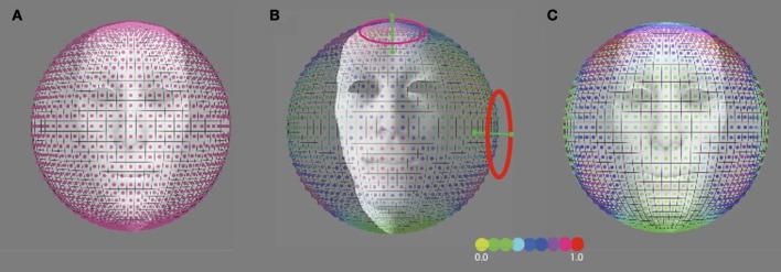 https://cdn.ncbi.nlm.nih.gov/pmc/blobs/82c0/3573326/0fbac9c786cd/fnbeh-07-00011-g0008.jpg