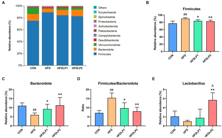 https://cdn.ncbi.nlm.nih.gov/pmc/blobs/82c1/10229879/19f77f39875b/fmicb-14-1146672-g006.jpg
