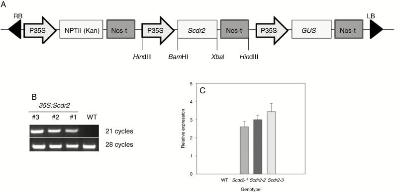 https://cdn.ncbi.nlm.nih.gov/pmc/blobs/82c1/6821327/cbbce6de9f38/mcz044f0002.jpg