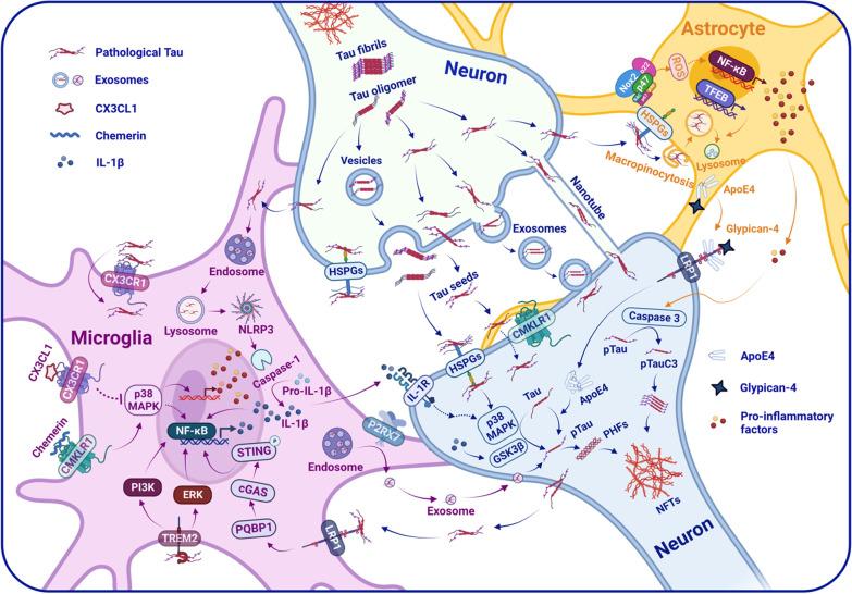 https://cdn.ncbi.nlm.nih.gov/pmc/blobs/82c2/10349496/35355006b13c/12974_2023_2853_Fig1_HTML.jpg