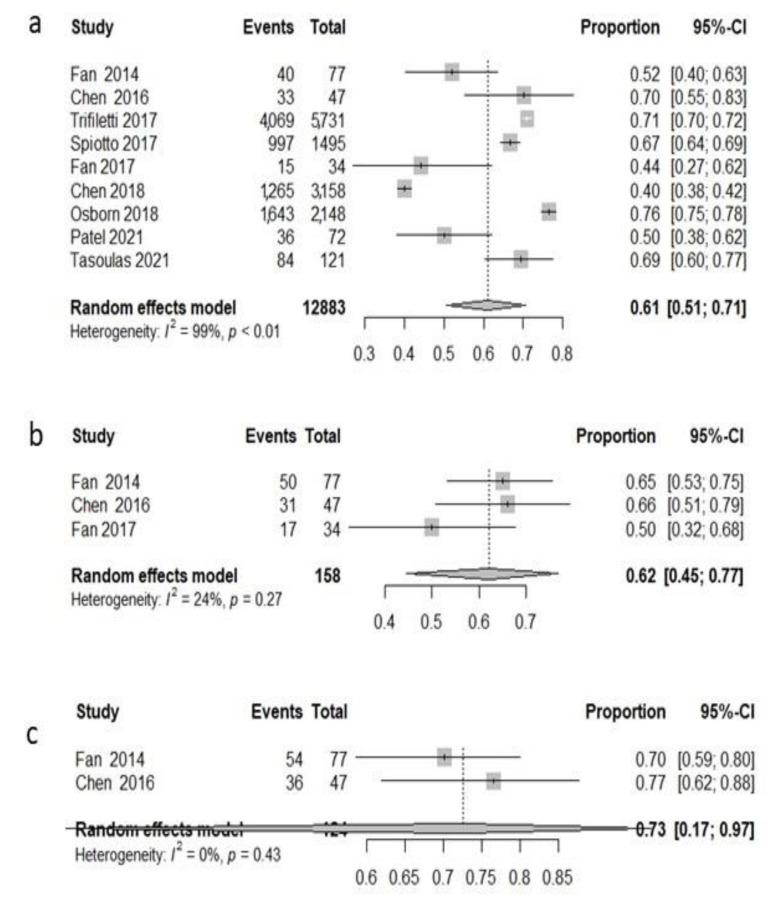 https://cdn.ncbi.nlm.nih.gov/pmc/blobs/82c2/9367295/30f04024849a/cancers-14-03704-g003.jpg