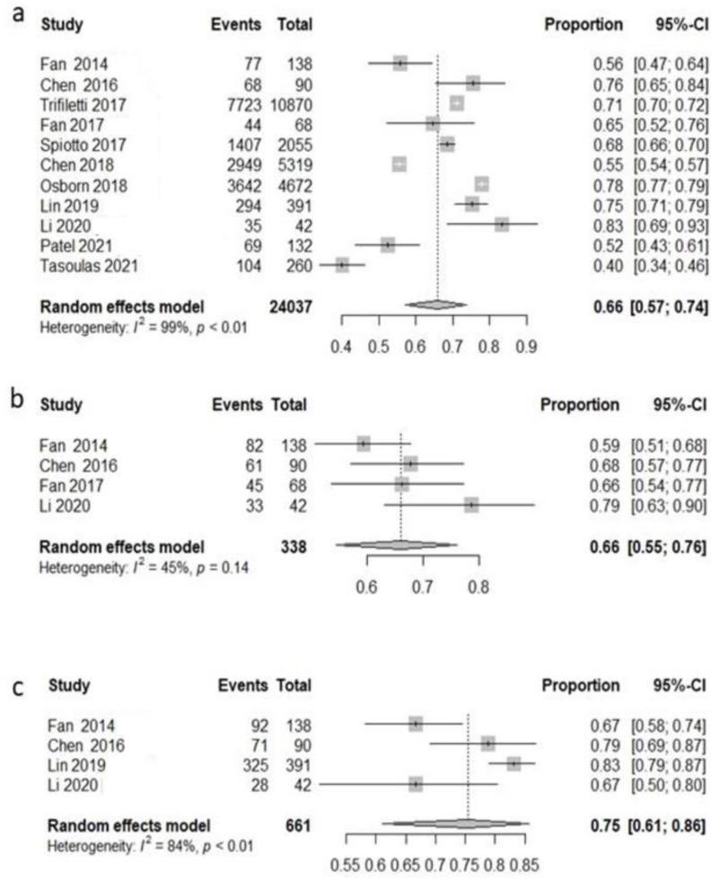 https://cdn.ncbi.nlm.nih.gov/pmc/blobs/82c2/9367295/cab81a90dd98/cancers-14-03704-g002.jpg