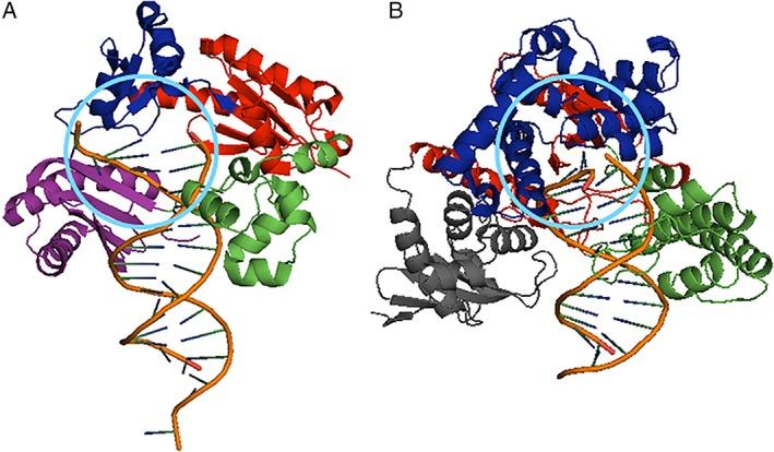 https://cdn.ncbi.nlm.nih.gov/pmc/blobs/82c3/6590174/4c681d740fa4/EM-60-368-g002.jpg
