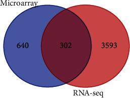 https://cdn.ncbi.nlm.nih.gov/pmc/blobs/82c4/11521586/3d9812157b04/IJBC2024-8796102.006.jpg