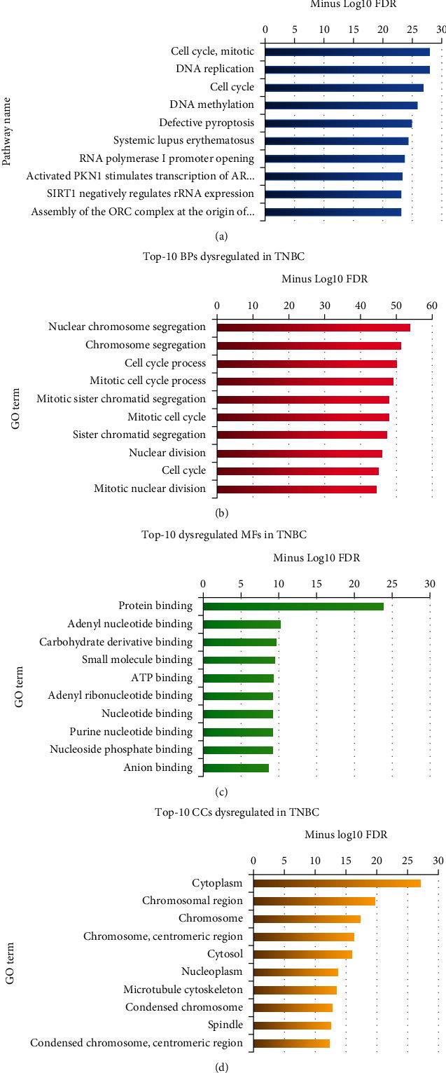 https://cdn.ncbi.nlm.nih.gov/pmc/blobs/82c4/11521586/75ffae8e3349/IJBC2024-8796102.003.jpg