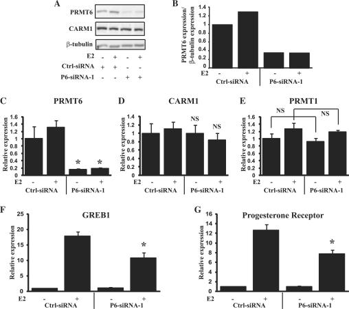 https://cdn.ncbi.nlm.nih.gov/pmc/blobs/82c4/2853117/0bcc156b7879/gkp1203f4.jpg