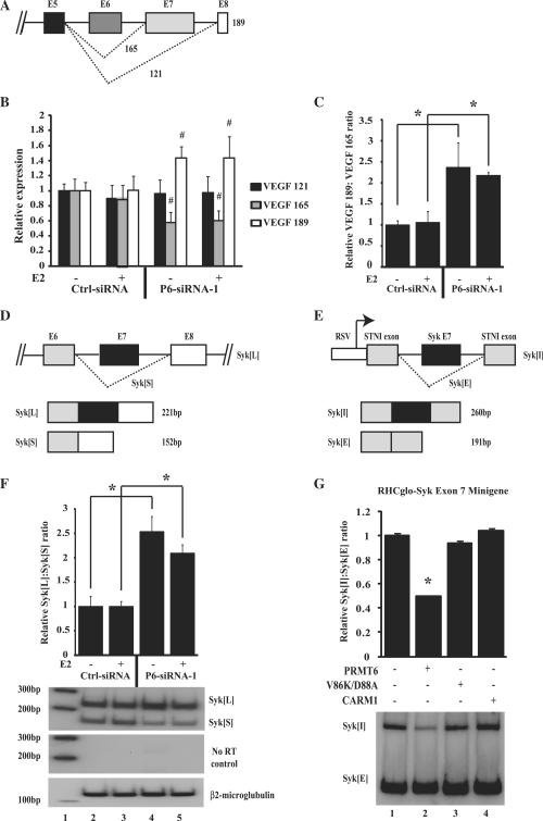 https://cdn.ncbi.nlm.nih.gov/pmc/blobs/82c4/2853117/44747857f186/gkp1203f6.jpg