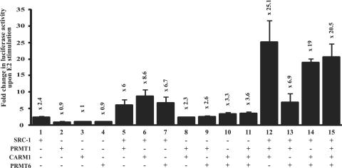 https://cdn.ncbi.nlm.nih.gov/pmc/blobs/82c4/2853117/b7de8389d717/gkp1203f3.jpg