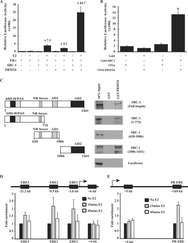 https://cdn.ncbi.nlm.nih.gov/pmc/blobs/82c4/2853117/cc2957e4c21b/gkp1203f2.jpg