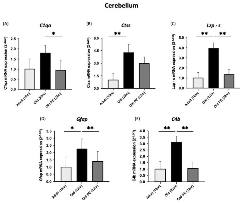 https://cdn.ncbi.nlm.nih.gov/pmc/blobs/82c5/10669012/2ff941b7eb16/antioxidants-12-01991-g005.jpg