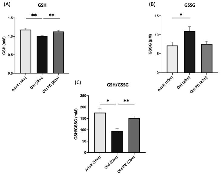 https://cdn.ncbi.nlm.nih.gov/pmc/blobs/82c5/10669012/63a22d33b1bb/antioxidants-12-01991-g001.jpg