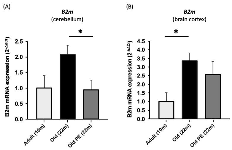 https://cdn.ncbi.nlm.nih.gov/pmc/blobs/82c5/10669012/9acf636971e7/antioxidants-12-01991-g007.jpg