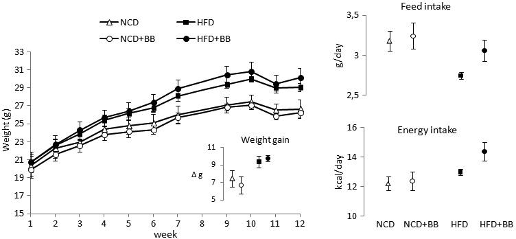 https://cdn.ncbi.nlm.nih.gov/pmc/blobs/82c5/3444297/1619b68c9044/mv-v18-2338-f1.jpg