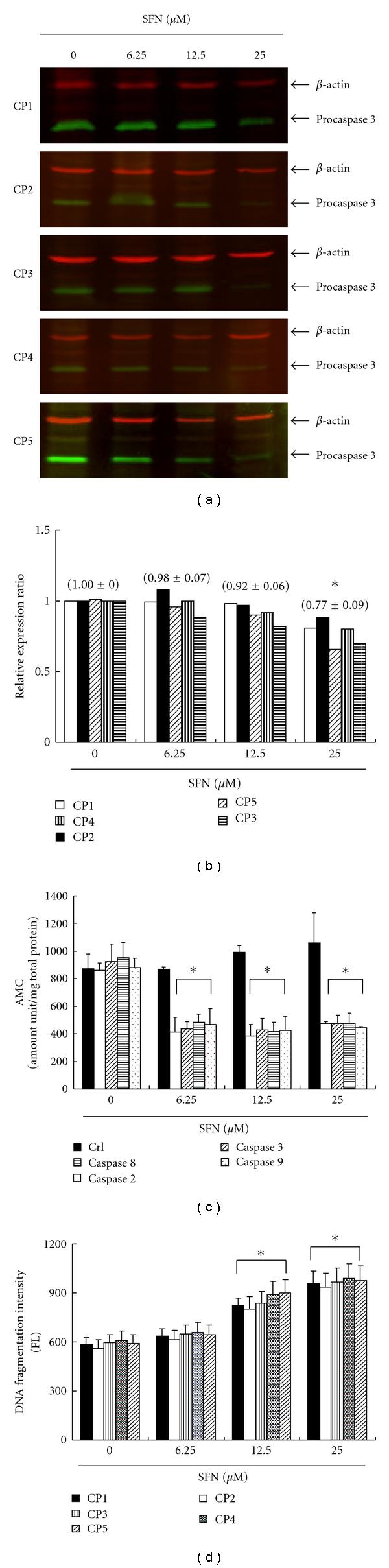 https://cdn.ncbi.nlm.nih.gov/pmc/blobs/82c6/3139908/442fb2f5b4b6/ECAM2012-415231.006.jpg