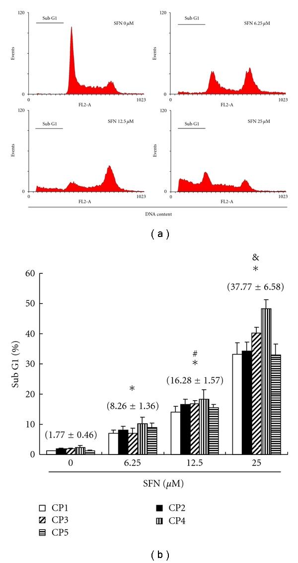 https://cdn.ncbi.nlm.nih.gov/pmc/blobs/82c6/3139908/614c5f62f490/ECAM2012-415231.002.jpg
