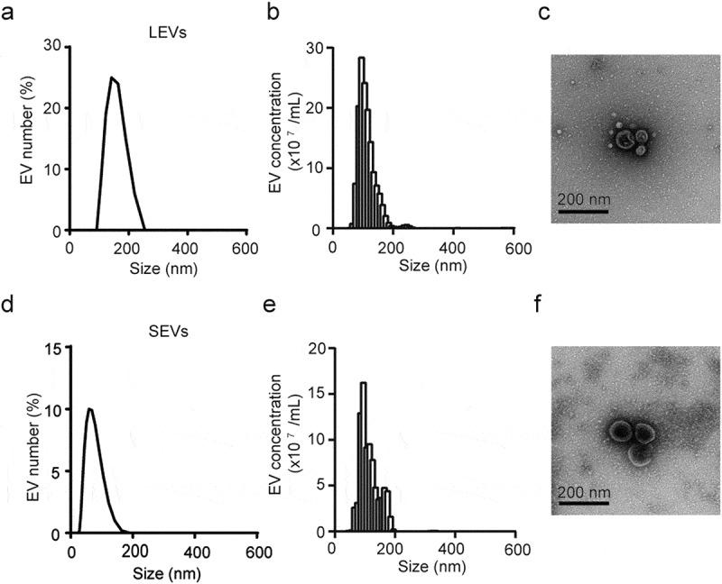 https://cdn.ncbi.nlm.nih.gov/pmc/blobs/82c6/6968621/08e27228c842/ZJEV_A_1703480_F0001_B.jpg