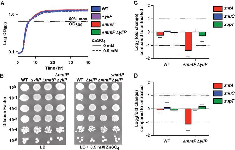 https://cdn.ncbi.nlm.nih.gov/pmc/blobs/82c6/8754126/0094ad9858a2/spectrum.01316-21-f006.jpg
