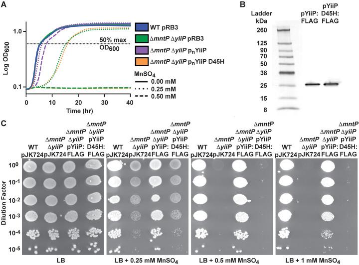 https://cdn.ncbi.nlm.nih.gov/pmc/blobs/82c6/8754126/33fb225a174f/spectrum.01316-21-f008.jpg